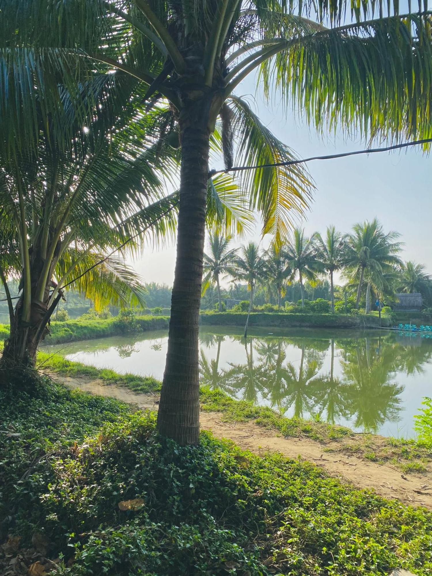 Laoxao Lakeview